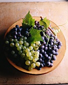 Frische dunkle und helle Weintrauben in einer Schale (Aufsicht)