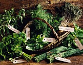 Selection of herbs