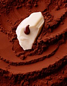 Ein Stück Butter mit etwas geschmolzener Schokolade auf Kakaopulver
