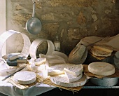Eine Auswahl an Brie-Käse auf Bambusmatten