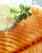 Slice of smoked salmon