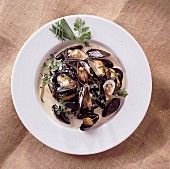 Mussels with sauce poulette