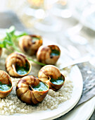 Snails