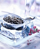 Kaviar auf Eis