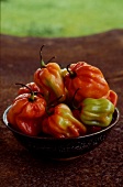 Caribbean peppers