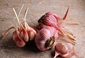 Fresh pink garlic