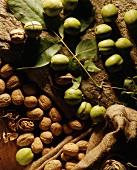 fresh walnuts