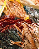 Mediterranean prawns, crawfish and dublin bay prawns