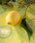 Zitrone mit Zitronenblättern auf hellgrüner Tischdecke