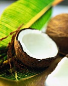Halbierte frische Kokosnuss