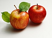 Zwei Äpfel mit Blättern