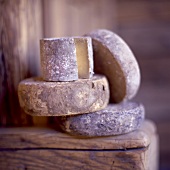 selection of tomme cheeses