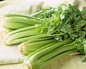 Celery