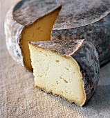 Mountain tomme cheese
