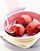 Summer fruit sorbets and sauce