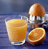 Frisch gepresster Orangensaft im Glas, Saftpresse dahinter