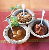 Mangochutney, Tandooripaste und Teller mit Gewürzen