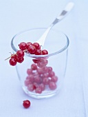 Redcurrants in glass