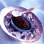 Bowl of caviar surrounded by ice