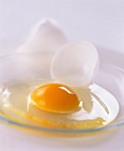 Ein aufgeschlagenes Ei auf einem Glasteller mit Eierschalen