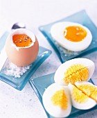 Selection of cooked eggs - soft-boiled, hard-boiled and runny