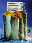 Bottled mackerel