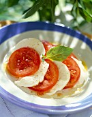 tomato and mozzarella