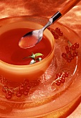 Redcurrant soup
