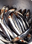 Salted anchovies