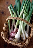 Basket of fresh garlic and spring onions