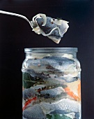 Pickled herrings in jar