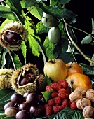Chestnuts, figs walnuts and apples