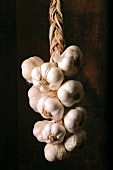 braid of garlic