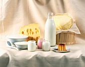 Verschiedene Milchprodukte vor weißem Hintergrund
