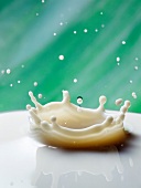 Milch-Krone mit Milchtropfen