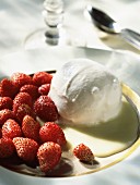 Fromage frais and wild strawberry sorbet