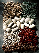Selection of dry shell beans