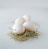 White eggs in nest of hay