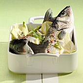 Sea bass with fennel
