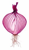 Sliced purple onion
