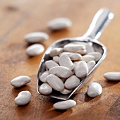 White beans in metal scoop