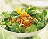 Salat mit Feldsalat und Linsen
