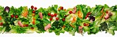 Salad frieze