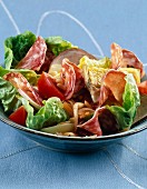 Cooked meats salad