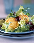 Breaded goat's cheese