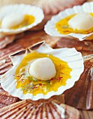 Scallops with saffron