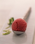 Kugel Holunderblüten-Erdbeer-Eis