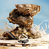 Drei aufeinander gestapelte Austern auf einem Spankörbchen