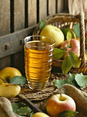 Glas Cidre mit Äpfeln auf Baumrinde