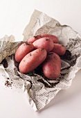 Kartoffeln der Sorte 'Roseval' auf Zeitungspapier